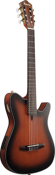 Ibanez Nylon String Guitar (FRH10N-BSF)