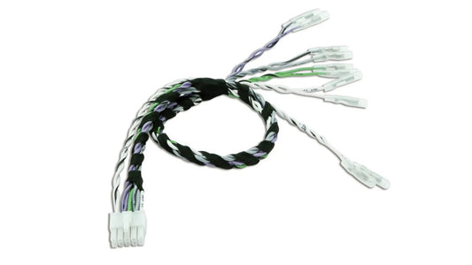 Audison - AP SPK OUT 5.9 - 5CH OUTS CIRC. TERMINALS FEMALE (66772020)