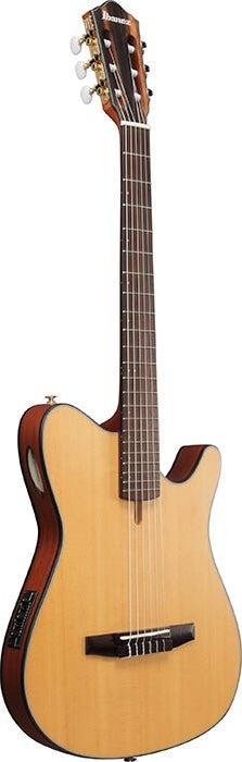 Ibanez Nylon String Guitar (FRH10N-NTF)