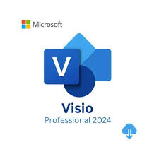 Microsoft - Visio Professional 2024 - 1 Pc - Download - Guards On Duty Shop & Security Guards