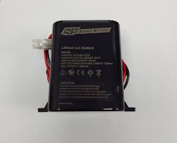 24V 1500mAh Lithium Ion DigiDoor Battery - Guards On Duty Shop & Security Guards