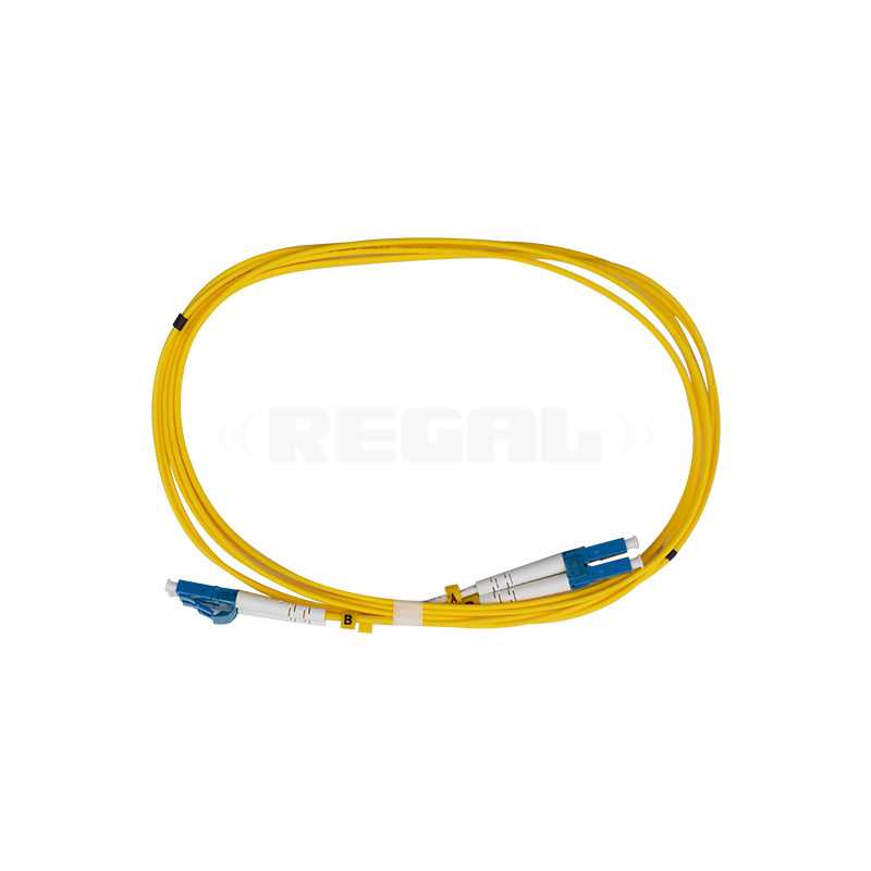 LC-LC Single Mode Fibre Fly Lead 2m