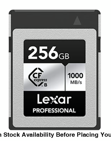 Lexar 256GB Professional CFexpress Type-B Memory Card (Silver Series) 1000MB/s - Guards On Duty Shop