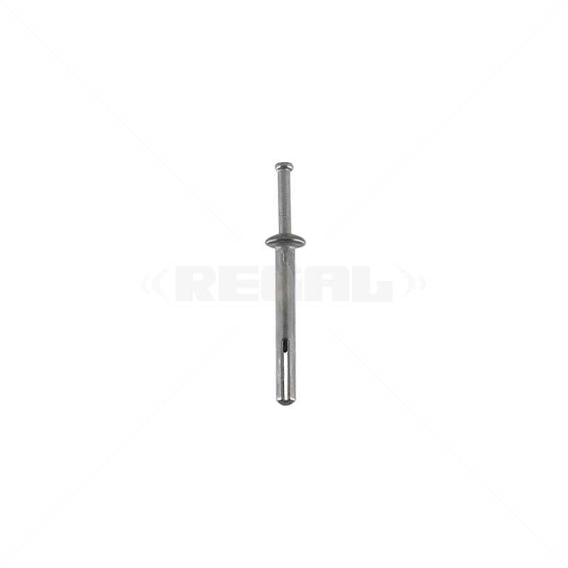 Hammer Drive Zinc Alloy 6 x 50mm 100 p