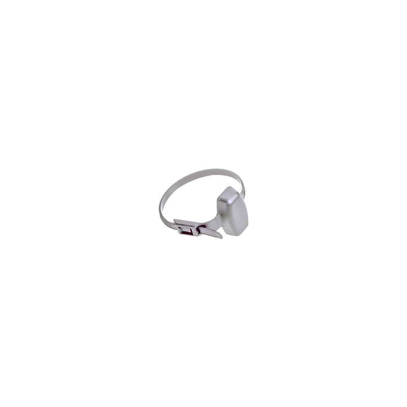 Net2 Watchprox Silver Net2 10 Pack (698-574SL-ZA)