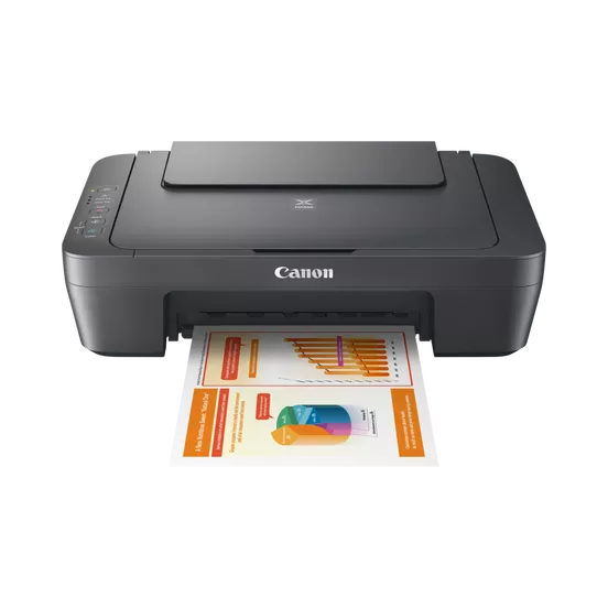 Canon PIXMA MG2541S