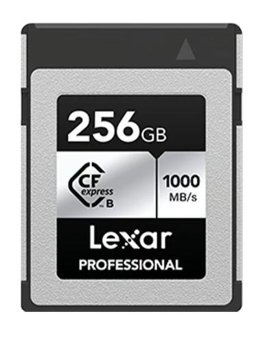 Lexar 256GB Professional CFexpress Type-B Memory Card (Silver Series) 1000MB/s - Guards On Duty Shop