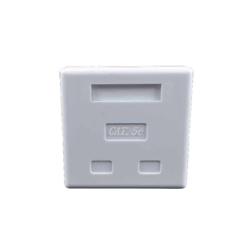 RLynk CAT5E Double Wall Box