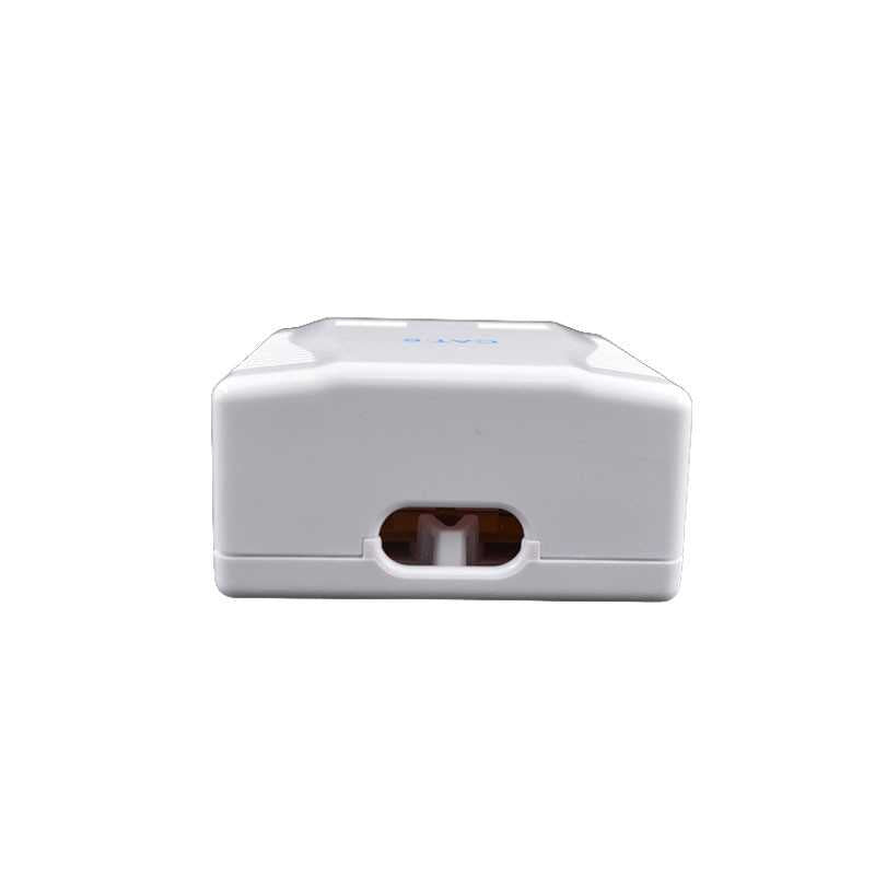RLynk CAT6 Double Wall Box