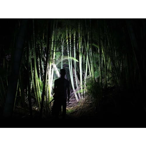 FENIX HL40R LED HEADLAMP (GREY)