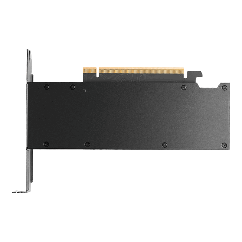PNY NVIDIA RTX PRO 2000 Blackwell PCI-Express x16 Gen 5.0; 16 GB GDDR7 ECC 128-bit; Adapter 4x Mini DP 2.1b; dual slot. 70W