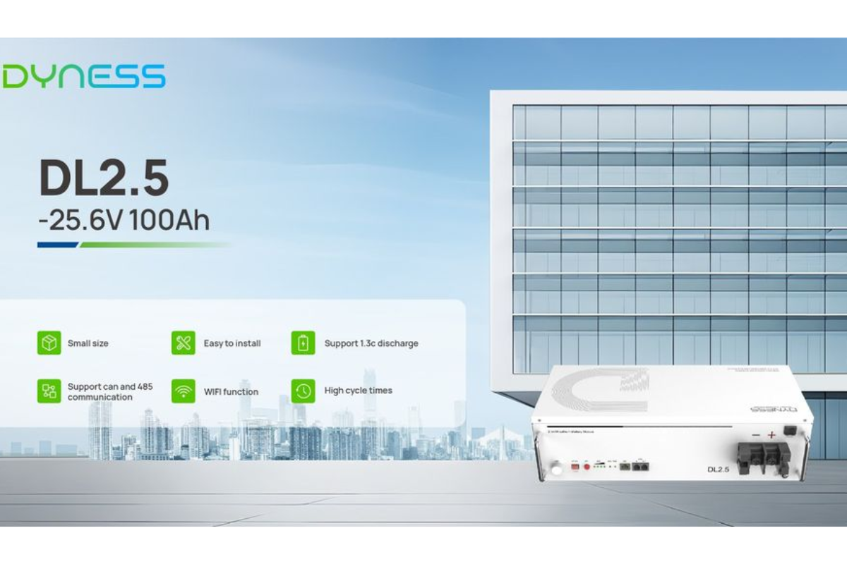 DYNESS DL2.5 25.6V 100Ah 2.56kWh LiFePo Battery -5 year warranty