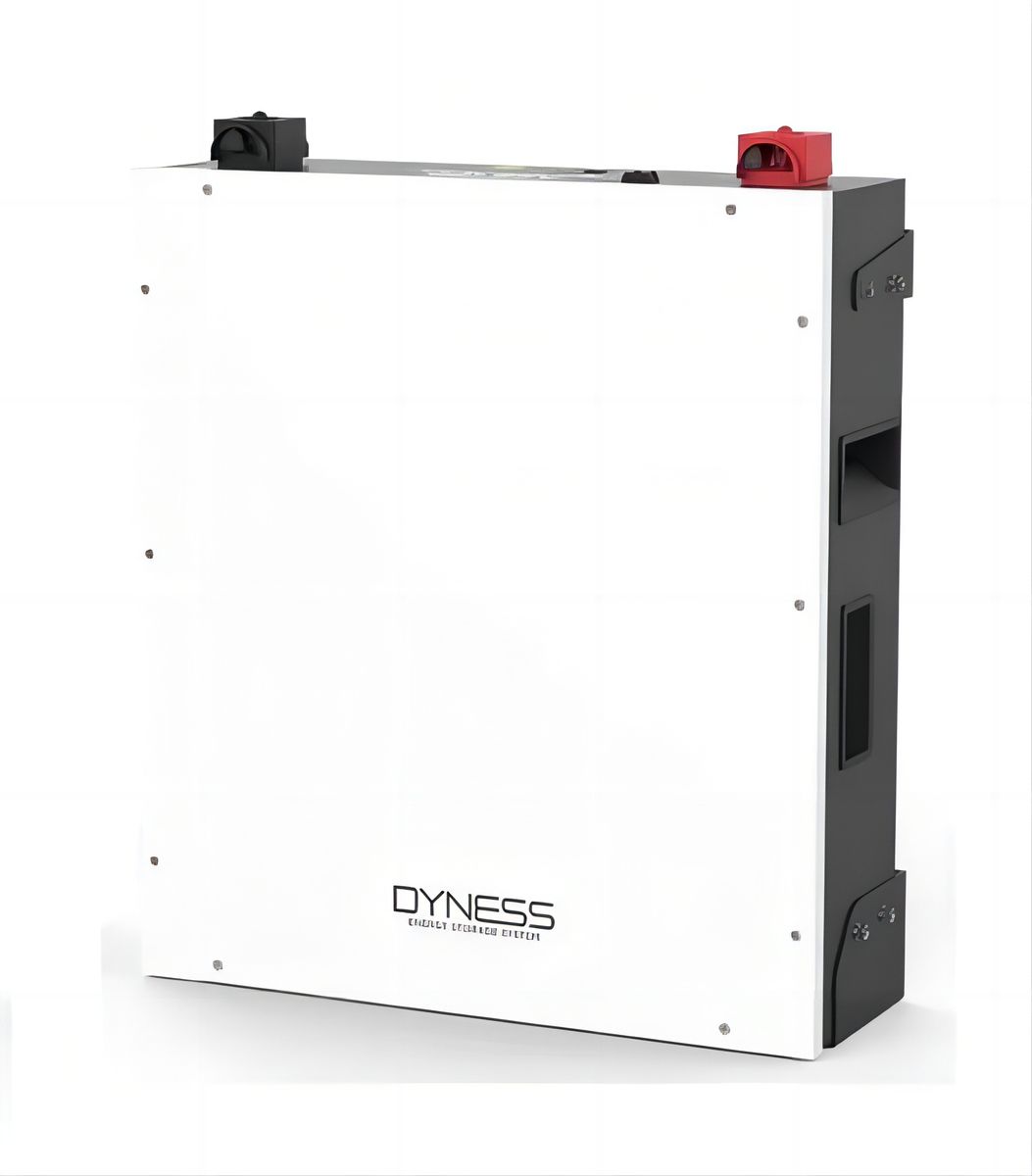 DYNESS BATTERY DL5.0C Version2 (5.12Kwh. 100AH 51.2V; LV) - 7 Year Warranty
