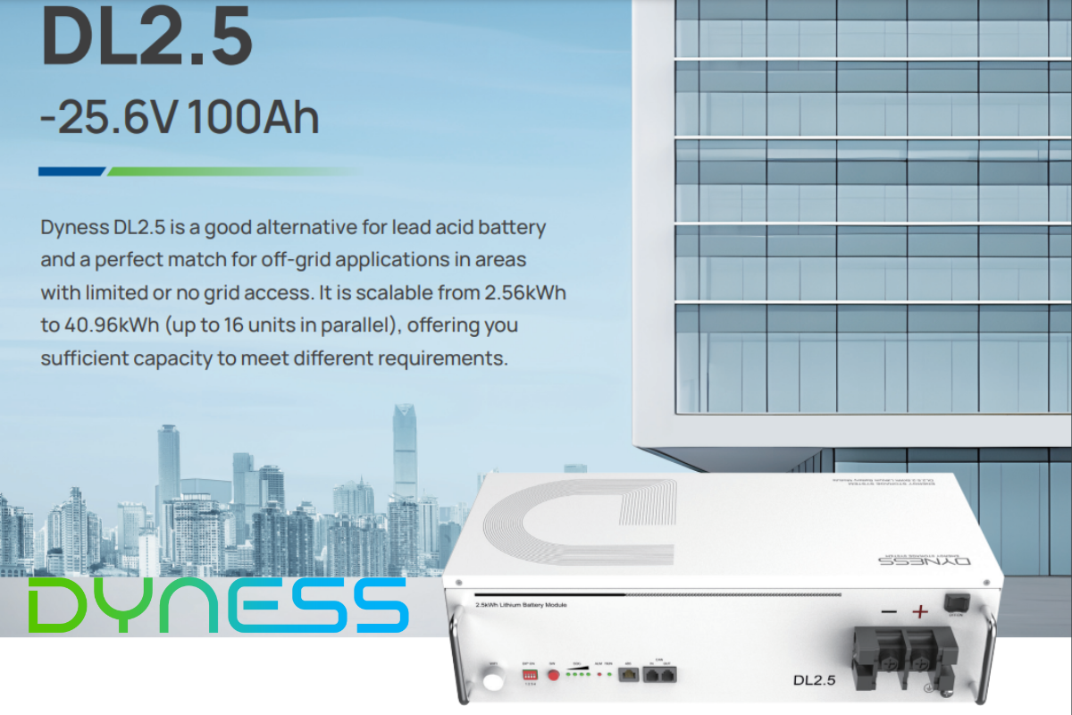 DYNESS DL2.5 25.6V 100Ah 2.56kWh LiFePo Battery -5 year warranty