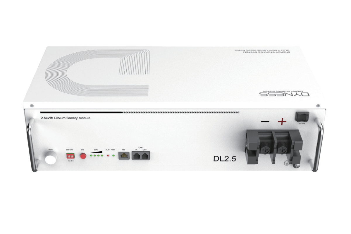 DYNESS DL2.5 25.6V 100Ah 2.56kWh LiFePo Battery -5 year warranty