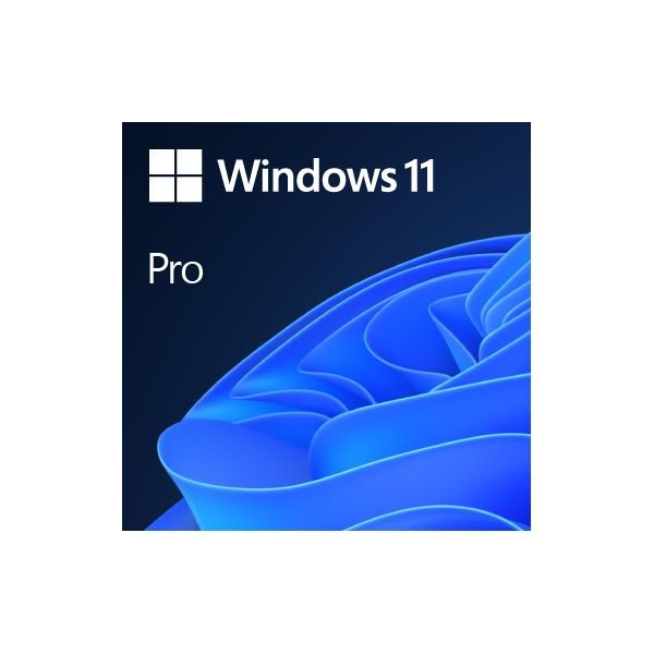 Windows 11 Professional Full Install - Download. FQC-10572
