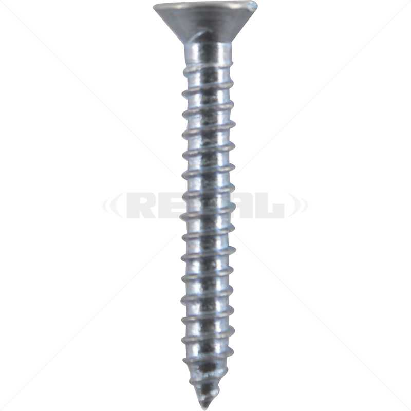 Screw - Self Tapper 3.5 x 20 Pozi / 100
