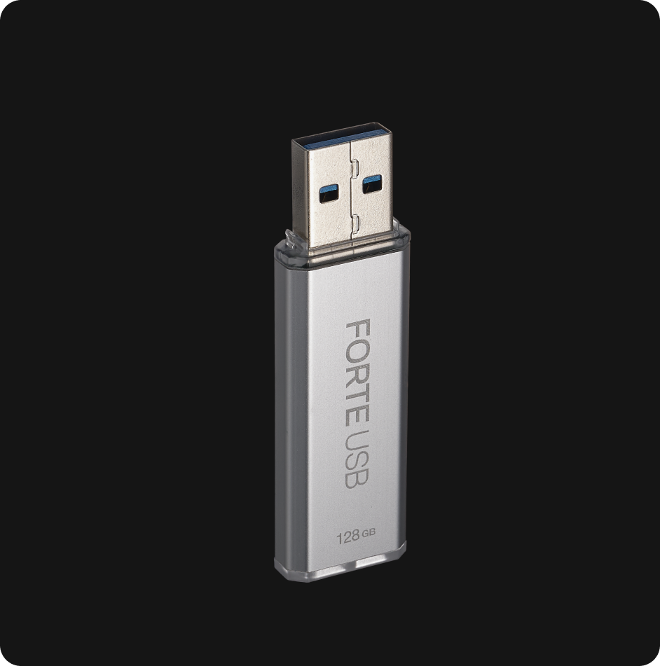 SecuX Forte USB 128 GB hardware-encrypted flash drive, front view with the USB-A connector, official SecuX image