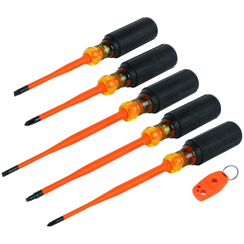 Screwdriver Set - MTS 6 Piece Black Tip