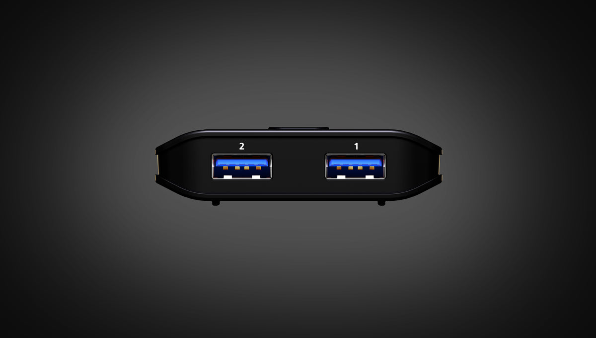 2 x 2 USB 3.2 Gen 1 Sharing Switch