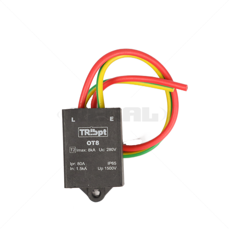 ZAP2 2 wire 220V Mains Protect